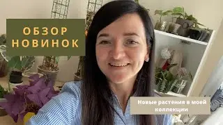 Новинки моих растений