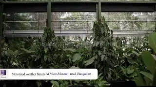 Motorized Monsoon Blinds - Perfect Solution for Weather Protection in Muro