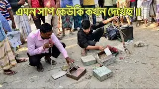 সাপেৱ খেলা ॥ এমন সাপ ￼কেউ কখন দেখেনি | সাপ কে চিনে রাখো ? Vyanok sapke cinerakho ??