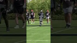 Bengals offensive line works on sled drills