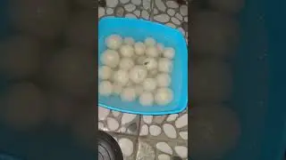 cobain masak cilok seperti ini buat jualan pasti laris