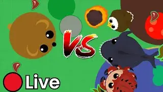 Mohio animals that id Beat in a fight💀