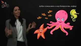 5.2. Введение в банкротство для начинающих: роли юриста в банкротном процессе