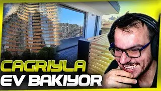 Gugu Çağrı ile Ev İlanlarını İnceliyor