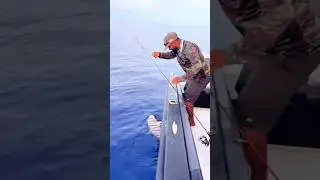 #shorts #fishing