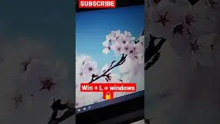 how to lock windows 11 with shortcut key ? 🔒 #shorts #ytshort #ytshorts #maxsci #windows11