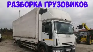 Продаётся кабина Iveco Eurocargo 120E24 Tector 2006г из Европы Разборка грузовиков iveco Eurocargo