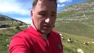 Дурмитор. Перевал Седло. Овцы