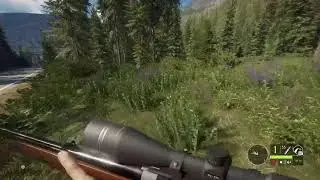 Hunter call of the wild. Let's do some missions.