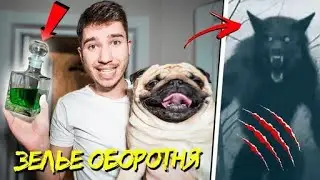 (Арх.пере.)НЕ ДАВАЙ ЗЕЛЬЕ ОБОРОТНЯ СОБАКЕ В 3:00 НОЧИ! *ОН ВЫПИЛ ЭТО ЗЕЛЬЕ И ПРЕВРАТИЛСЯ В ОБОРОТНЯ*