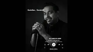 En Anbe En Anbe Song WhatsApp Status | Tamil Lyrics Videos | Tamil Love Status | Shankar Mahadevan