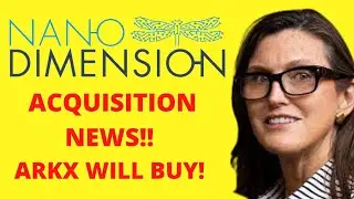 NNDM ACQUISITION NEWS! - ARKX COULD BUY! - (Nano Dimension Stock Analysis)