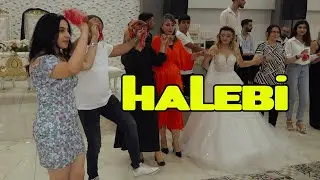 Halebi - Osmaniye Tüysüz Merve&Mustafa