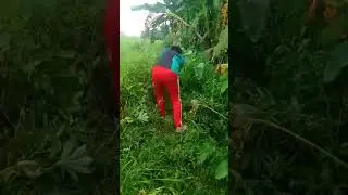 maganda magpapawis kaso umulan😂