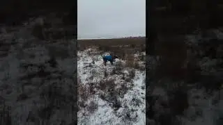 Ка Де Бо Реми играет