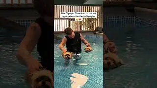 An Olympic hopeful 💔 #shorts #dogs #cutedog