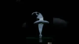 Nino Ananiashvili in “The Dying Swan”