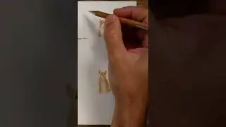 Dipingere le ombre #acquerello #art #tutorial  #painting #sketch #watercolor