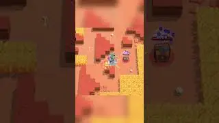 Shelly 