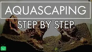AQUASCAPING STEP BY STEP - EINFACH ERKLÄRT |  Tutorial | GarnelenTv