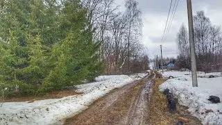 Весна пришла / снег тает / первые ростки 🌱