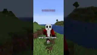 BEDROCK & JAVA ARE WAY DIFFERENT