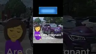 Are Cars in China are Getting Pregnant