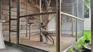 Como construí o viveiro