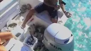 Abaco Fishing Story