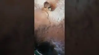 Кролики и свобода🐰🐰🐰!!!