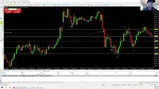 Bottom Basket Scalping Strategy - Easy Trading Bots