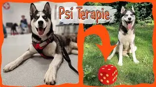 Aegonův trénink na terapeutického pejska