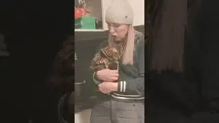 бенгальская кошечка уронила цветок