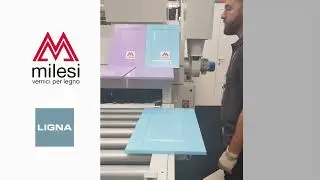 Vernici Milesi a Ligna 2023 - Stand Cefla Finishing