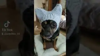 абалдеть можна