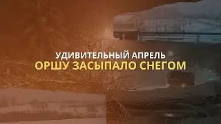 Что случилось в Орше? Наш ведущий в розыске, Орша в лидерах по вымиранию
