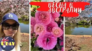 Vlog: Фестиваль цветов, местная ярмарка и Японский сад.