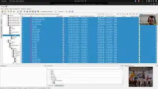 XnView
