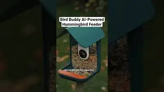 Bird Buddy AI-Powered Hummingbird Feeder 