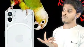 Nothing Phone 1 Too Much Hype?