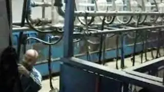 Explotación ganadera, ovejas.wmv