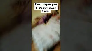#мем #врекомендации #meme #shadowfight3  мемчик