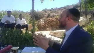 כולל אחוות תורה מודיעין עילית  - מתפלפלים