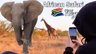 AFRICAN SAFARI!! | TIMBAVATI KRUGER PARK | Vlog