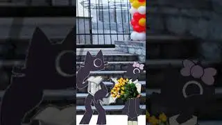 проспали лета! #1сентября #бумажноеобразование
