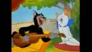bakkaldan aldım bira kedili
