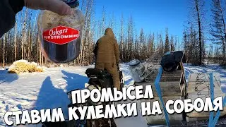 Якутский сюрстрёмминг из тугунков. Промысел. Едем ставить кулемки