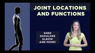 Joint Locations & Functions: Knee, Shoulder, Elbow and more!