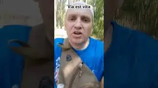 Движение - это жизнь