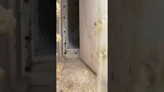 👍🏼 вентиляция в ульях Великолепно сделана.